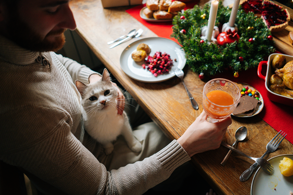 The Festive but Forbidden Pet Snack List